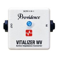 Providence VZW-1 VITALIZER WV