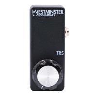 Westminster Effects WE-METRS Micro Expression TRS ギターエフェクター