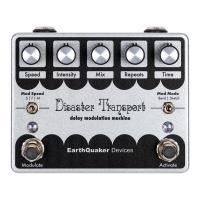 EarthQuaker Devices アースクエイカーデバイセス Disaster Transport ディレイ ギターエフェクター