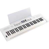 ROLAND ローランド GOKEYS5-WH GO:KEYS 5 Entry Keyboard 専用譜面立て付きセット エントリーキーボード ホワイト 自動伴奏 ボーカル入力対応