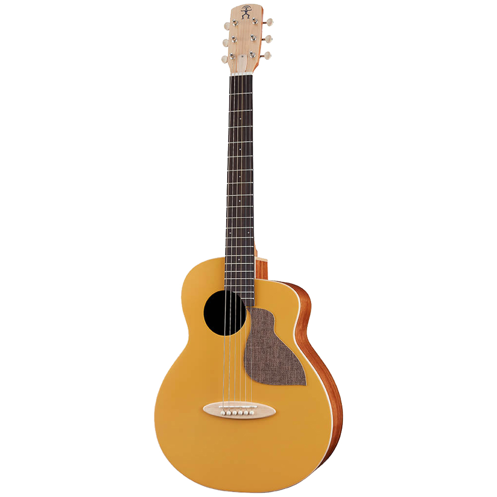 aNueNue Bird Guitar aNN-MC10-GG ミニアコースティックギター
