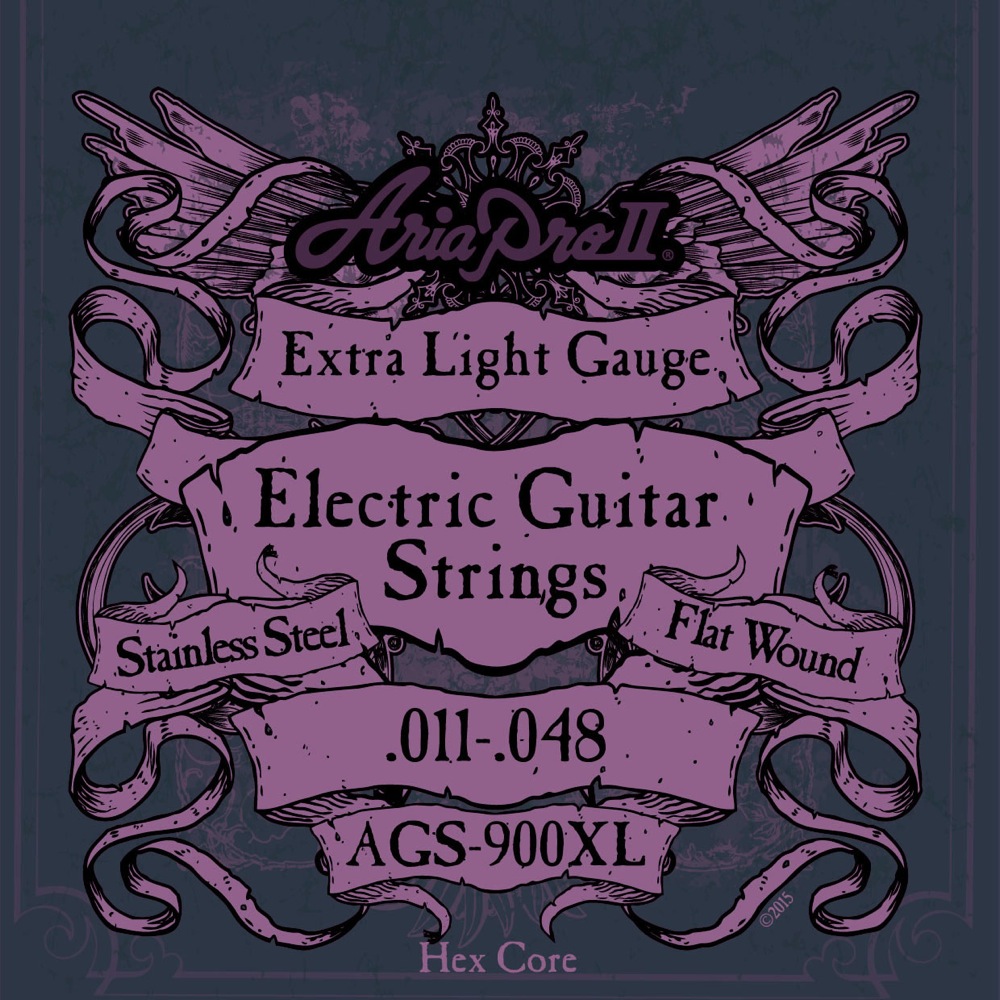 AriaProII AGS-900XL FW ジャズギター弦
