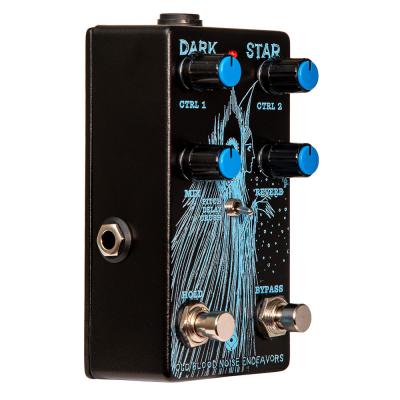 Old Blood Noise Endeavors Dark Star リバーブ ギターエフェクター 側面