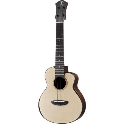 aNueNue aNN-UC200 Concert コンサートウクレレ