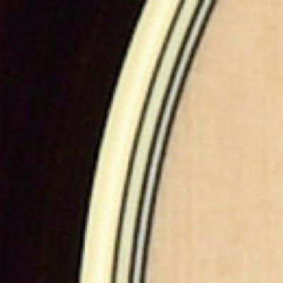 バインディング画像