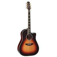 TAKAMINE DMP800 DAS エレクトリックアコースティックギター