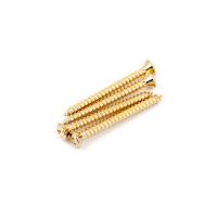 Fender Neck Mounting Screws Gold 4 ネジ 4本セット