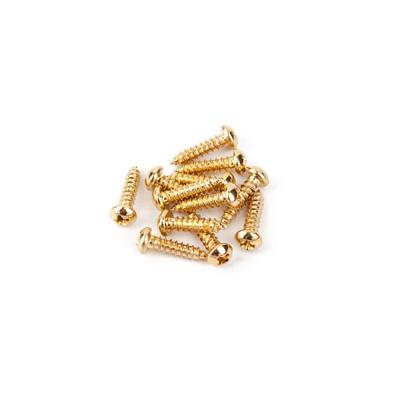 Fender Pure Vintage Tuning Machine Mounting Screws Gold 12 スクリュー