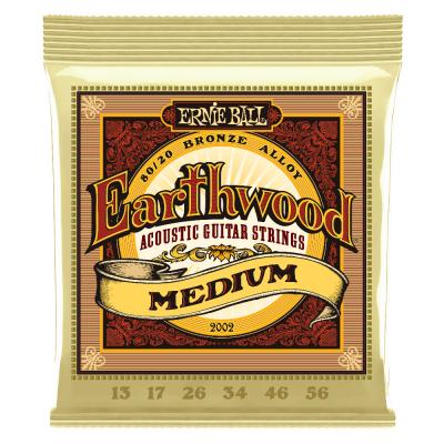 ERNIE BALL 2002 Earthwood Medium 80/20 Bronze 13-56 Gauge アコースティックギター弦