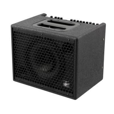 Udo Roesner Amps Da Capo 75 アコースティックアンプ 75W出力