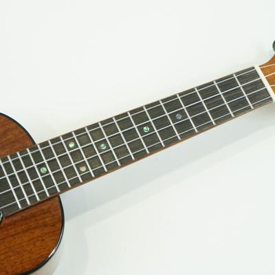 KUMU UKULELE CG55A コンサートウクレレ ハイグロス仕様 専用ギグバッグ付属 指板画像