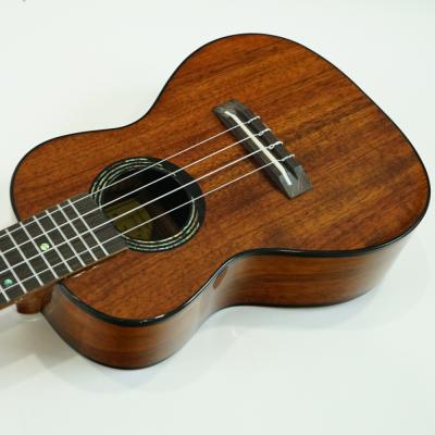 KUMU UKULELE CG55A コンサートウクレレ ハイグロス仕様 専用ギグバッグ付属 ボディトップ画像