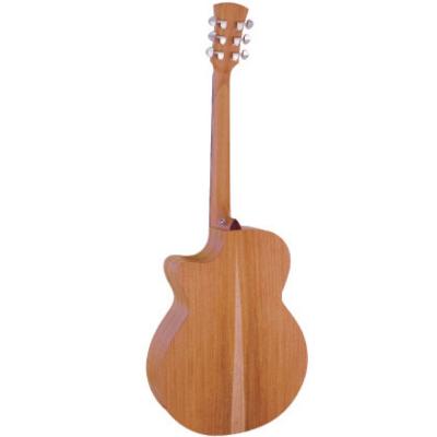 Faith GUITAR NAKED FKV エレクトリックアコースティックギター ボディバック全体画像