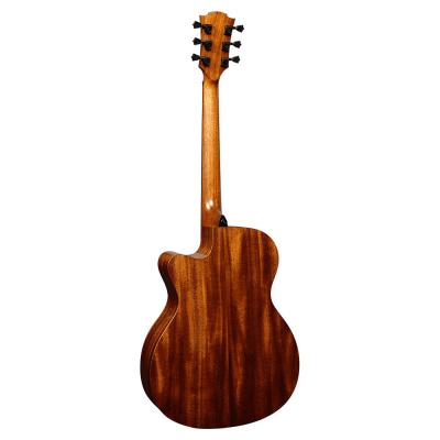 LAG GUITARS T170ACE エレクトリックアコースティックギター ボディバック画像