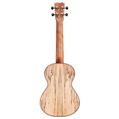 Cordoba 24T Spruce テナーウクレレ 全体画像