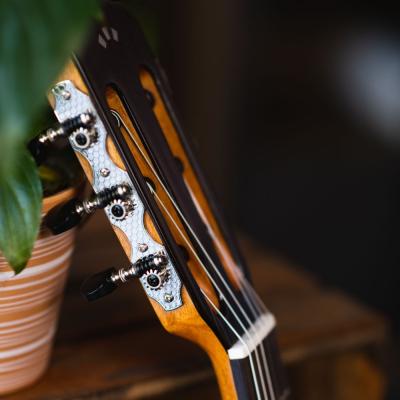 Cordoba Fusion 5 Limited クラシックギター イメージ画像