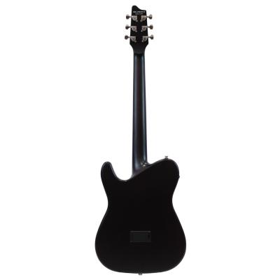 SCHECTER OL-FL STBK エレクトリックアコースティックギター 全体の画像