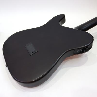 SCHECTER OL-FL TSB エレクトリックアコースティックギター アップの画像