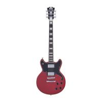 D’Angelico Premier Brighton Oxblood エレキギター