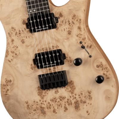 Charvel Pro-Mod DK24 HH HT E Mahogany with Poplar Burl Desert Sand エレキギター ボディの拡大画像