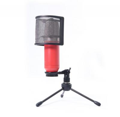 SEIDE EC-Me MK2 Vermilion Red コンデンサーマイク 使用例