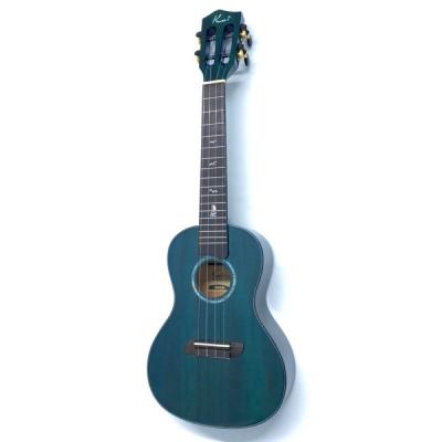 Kai Ukulele KC-100G/BL コンサートウクレレ ソフトケース付き