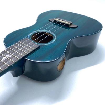 Kai Ukulele KC-100G/BL コンサートウクレレ ソフトケース付き ボディトップ画像