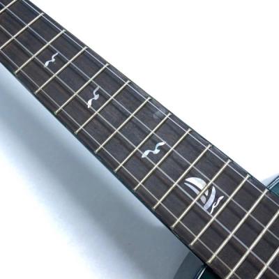 Kai Ukulele KC-100G/BL コンサートウクレレ ソフトケース付き 指板画像