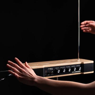 moog Etherwave Theremin モーグ テルミン 使用イメージ画像