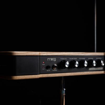 moog Etherwave Theremin モーグ テルミン 前面パネル拡大画像