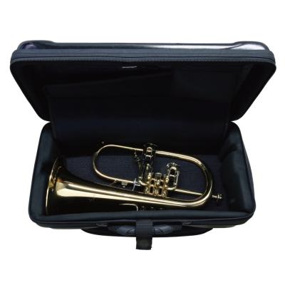 bags EF2TRFH GRE SOLID COLOR トランペット&フリューゲルホルン用ファイバーケース 詳細画像3