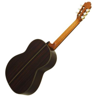 Esteve 11 Spr クラシックギター 詳細画像