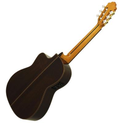 Esteve ELEC Spr エレクトリッククラシックギター エレガット 詳細画像