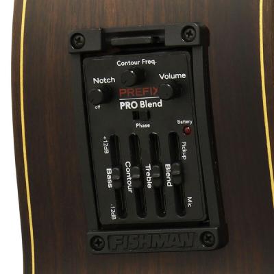 Esteve ELEC Spr エレクトリッククラシックギター エレガット 詳細画像