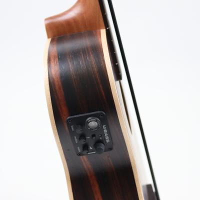 KALA UBASS-EBY-FL20_06 STRIPED EBONY フレットレス ウクレレベース コントロール画像