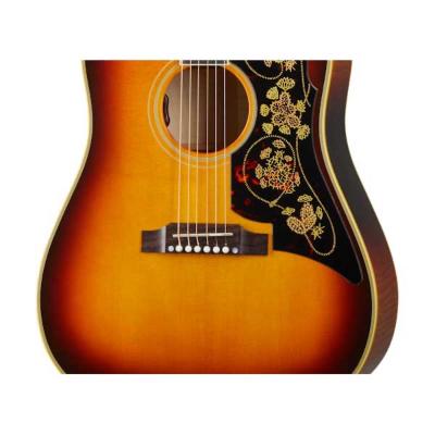 Epiphone Frontier USA Collection Frontier Burst エレクトリックアコースティックギター ボディ