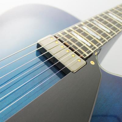 FUJIGEN MFA-FP/BBT Masterfield MFA フルアコギター MFA-FP/BBT ピックアップ画像