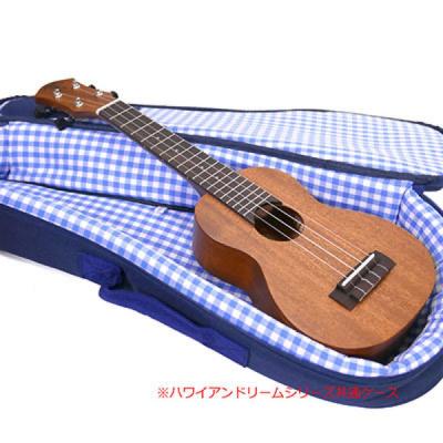 aNueNue aNN-S3E Solid Mahogany ソプラノウクレレ ケース、本体画像