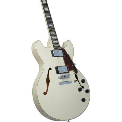 D’Angelico Premier DC Champagne エレキギター ボディアップ画像