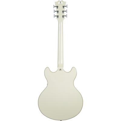 D’Angelico Premier DC Champagne エレキギター ボディバック画像