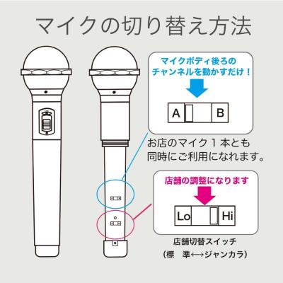 PENTATONIC マイマイク GTM-150 クリアレッド カラオケマイク 詳細画像