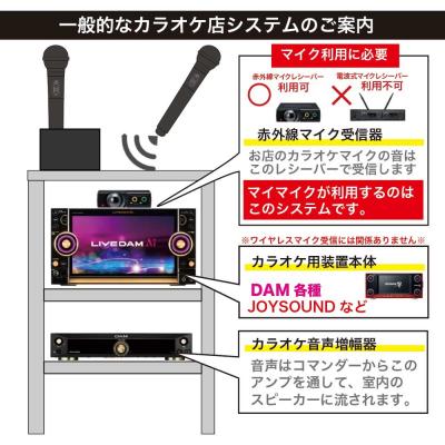 PENTATONIC マイマイク GTM-150 スペースブルー カラオケマイク 詳細画像