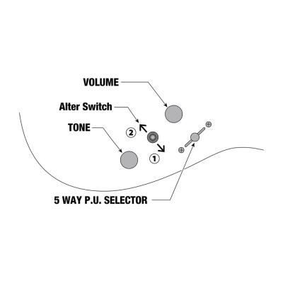 IBANEZ SML721-RGC Axe Design Lab Rose Gold Chameleon エレキギター コントロール図画像