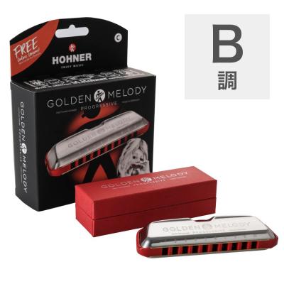 HOHNER ホーナー Golden Melody Progressive B 10ホールハーモニカ