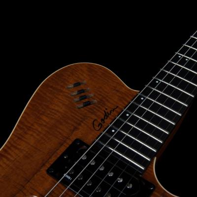 Godin ゴダン xtSA Koa Extreme HG エレキギター コントロール画像