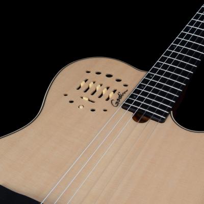 Godin ゴダン Multiac Nylon Deluxe ナイロン弦 エレガットギター コントロール画像