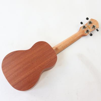 aNueNue アヌエヌエ aNN-SS1 ソプラノウクレレ トップ材スプルース単板 ボディバック画像