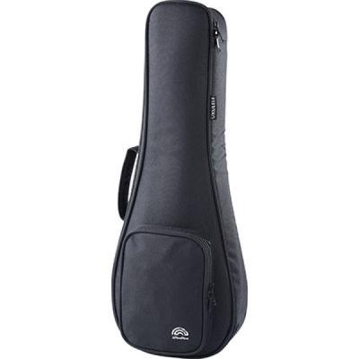 aNueNue アヌエヌエ aNN-SS1 ソプラノウクレレ トップ材スプルース単板 ケース画像