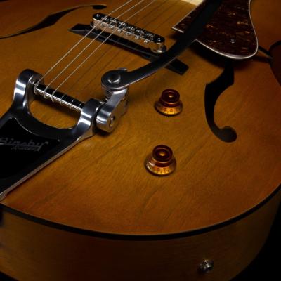 Godin ゴダン 5th Avenue Jumbo P-Rail Harvest Gold エレキギター コントロール画像