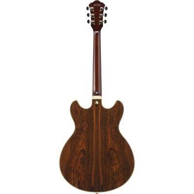 IBANEZ アイバニーズ Artcore Expressionist AS93BC-BK セミアコースティックギター エレキギター ボディバック